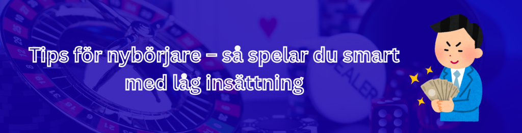 Tips för nybörjare – så spelar du smart med låg insättning
